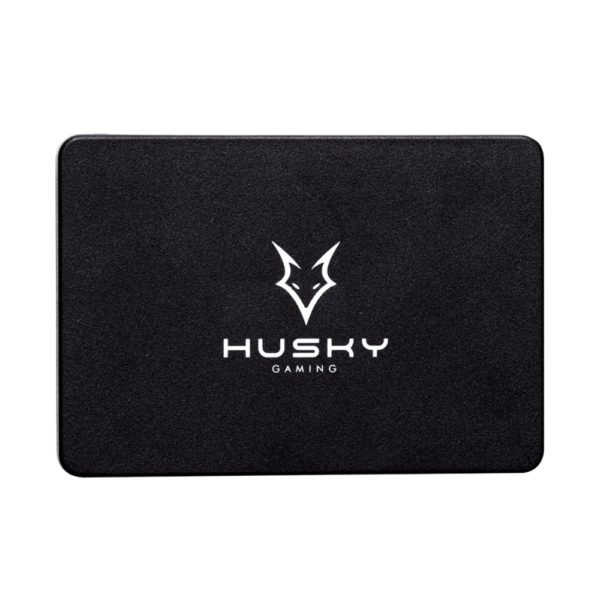 SSD 256 GB Husky Gaming
